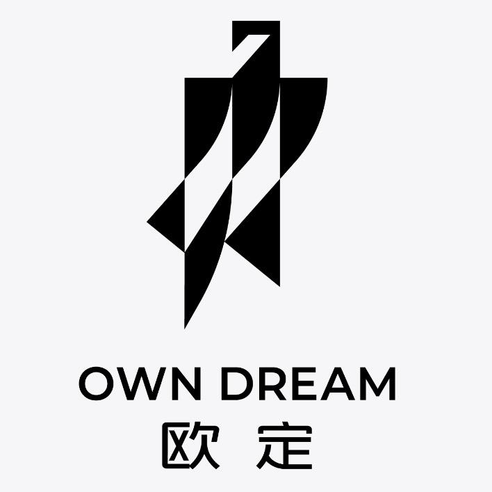 欧定头等舱高弹衬衫