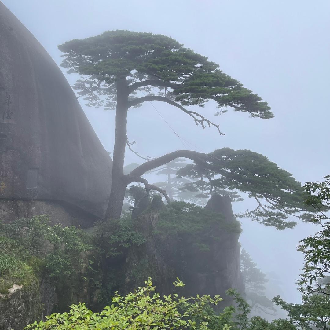 …昨天…今天…明天…