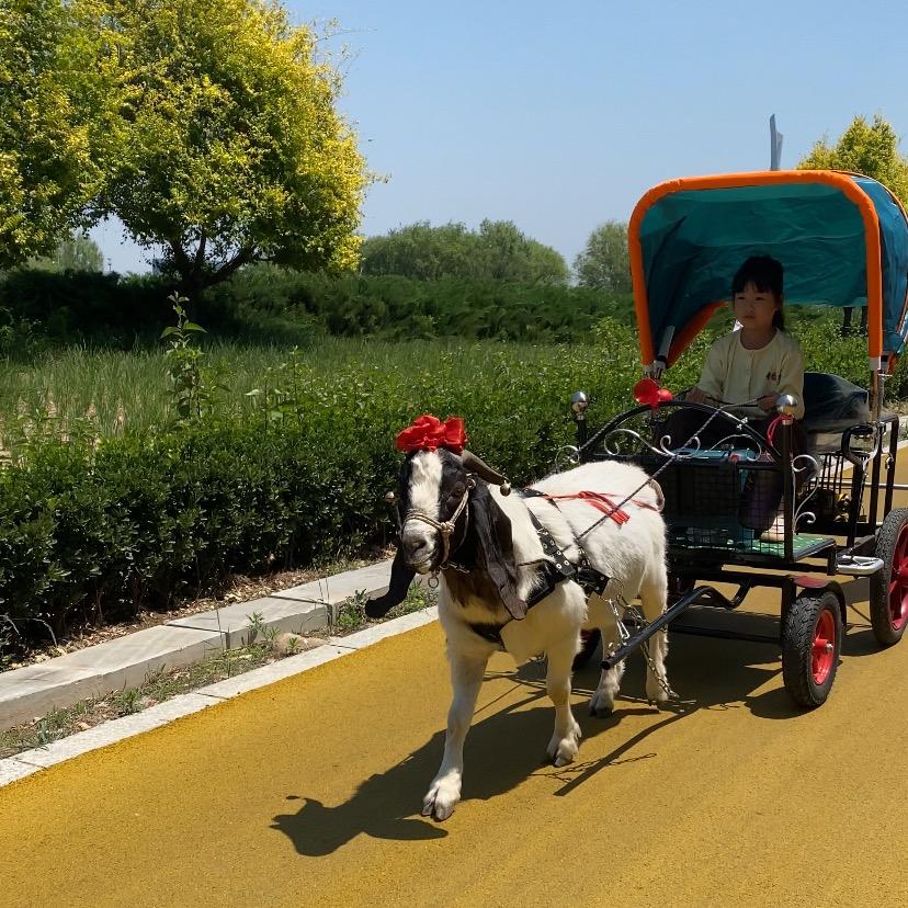 阿豪～农场乐园