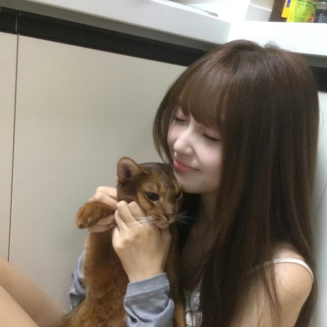 瑶妹瑶妹发大财