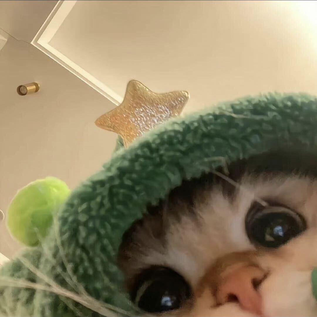 一只仓鼠