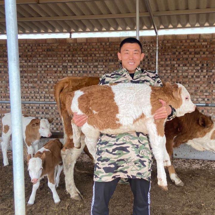 以牛为媒 山西老兵