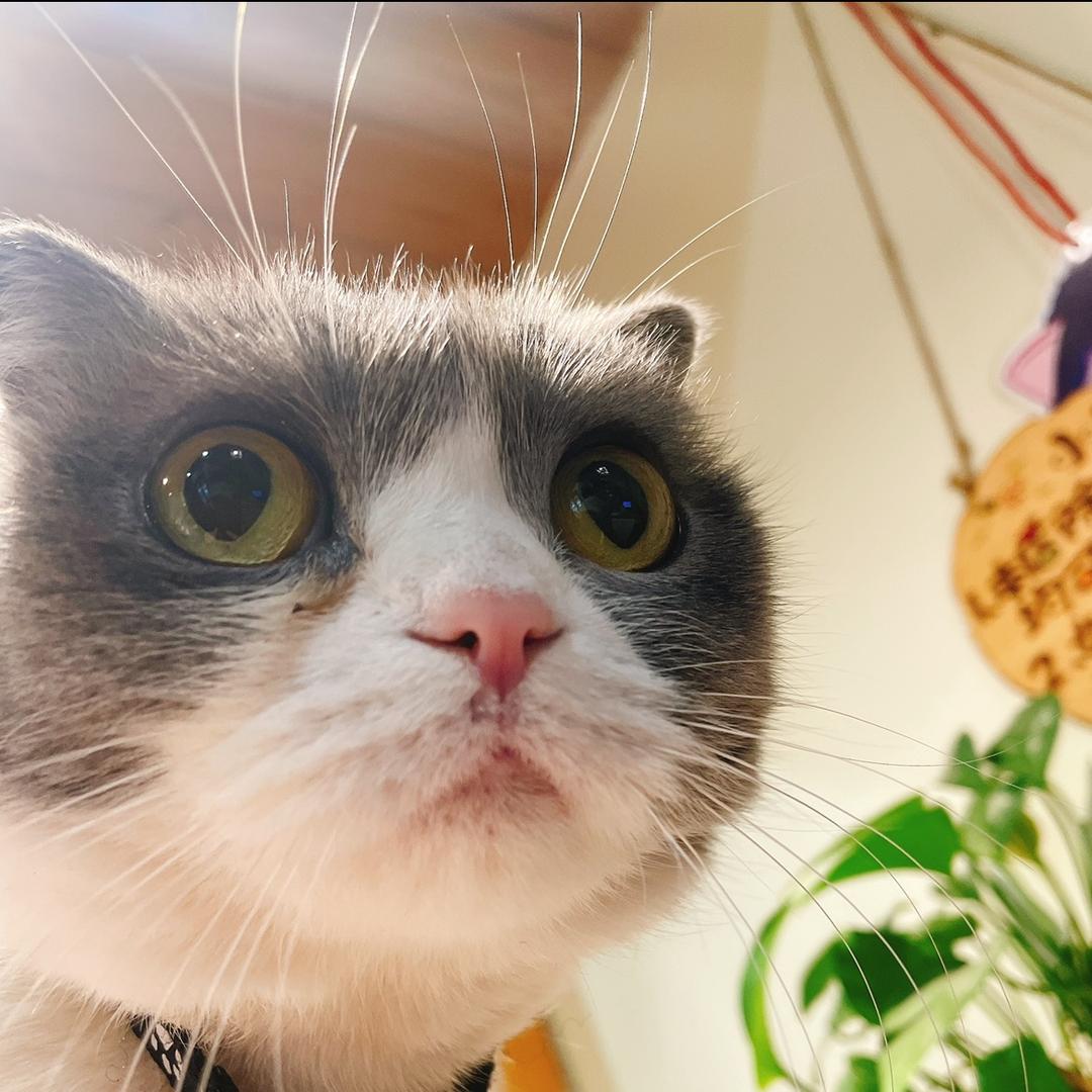 未卜