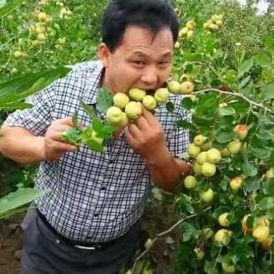 杰哥