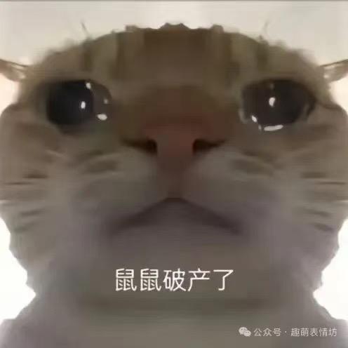 小淼（三角洲行动）