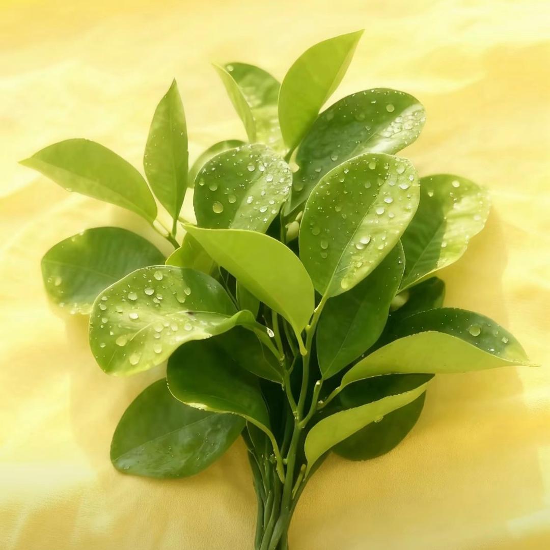 🇨🇳平安喜乐