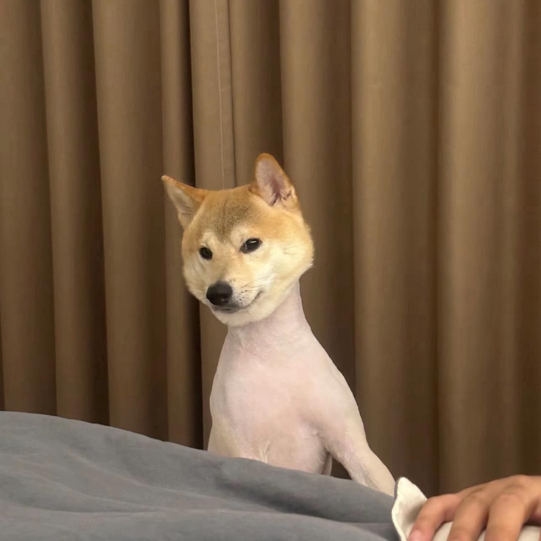 衿暮