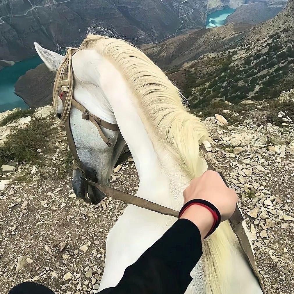 小付的朋友圈🥰