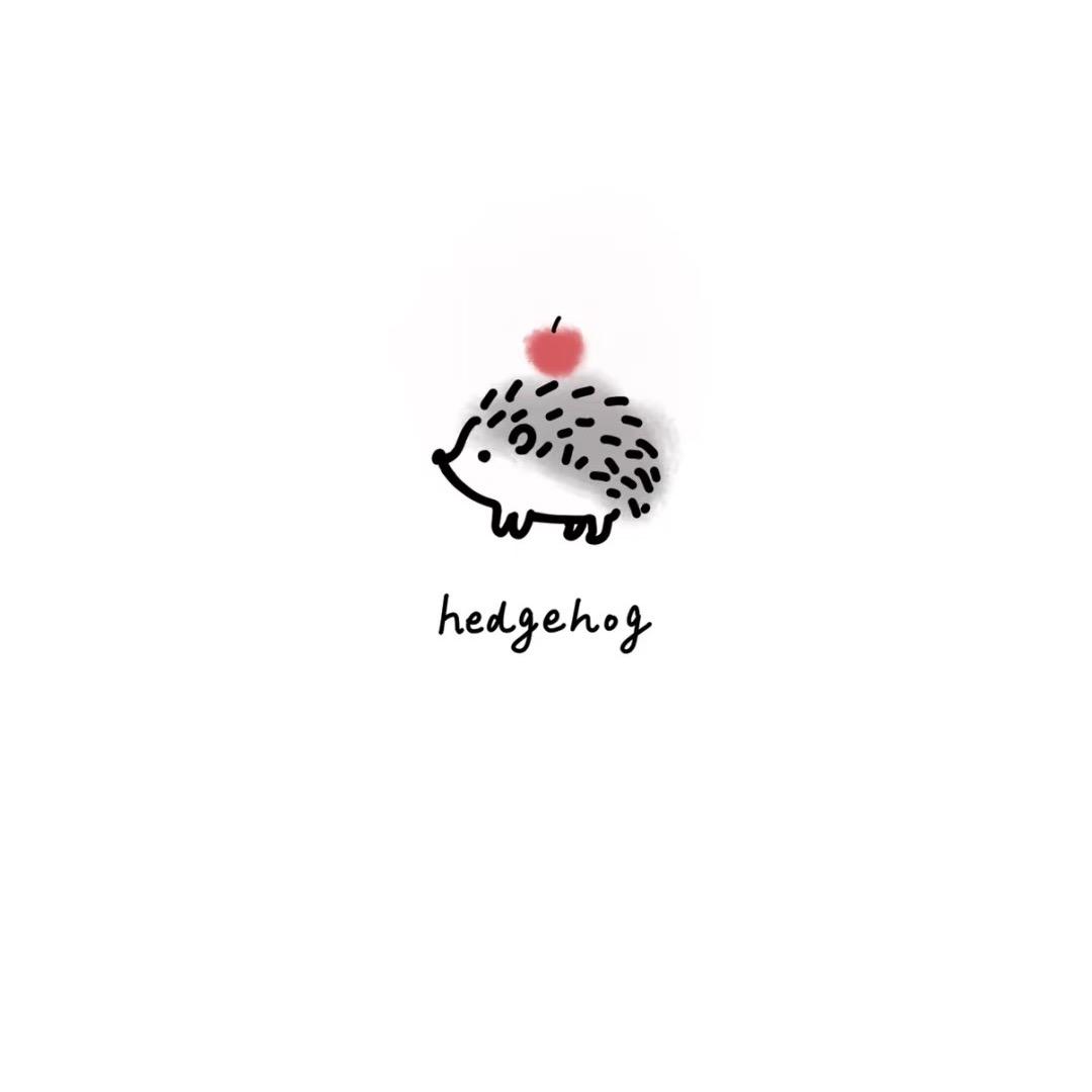 刺猬小姐🦔