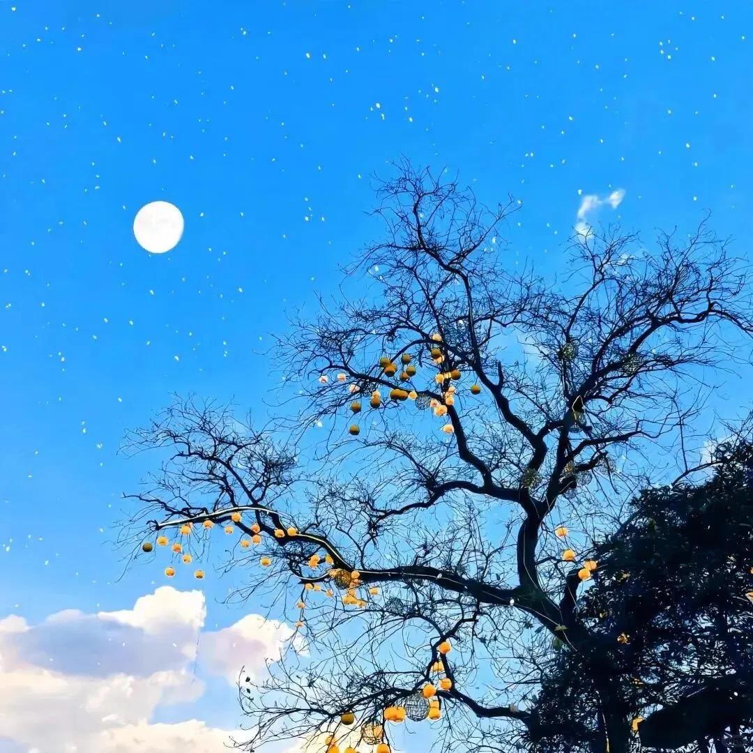 霁岚染襟