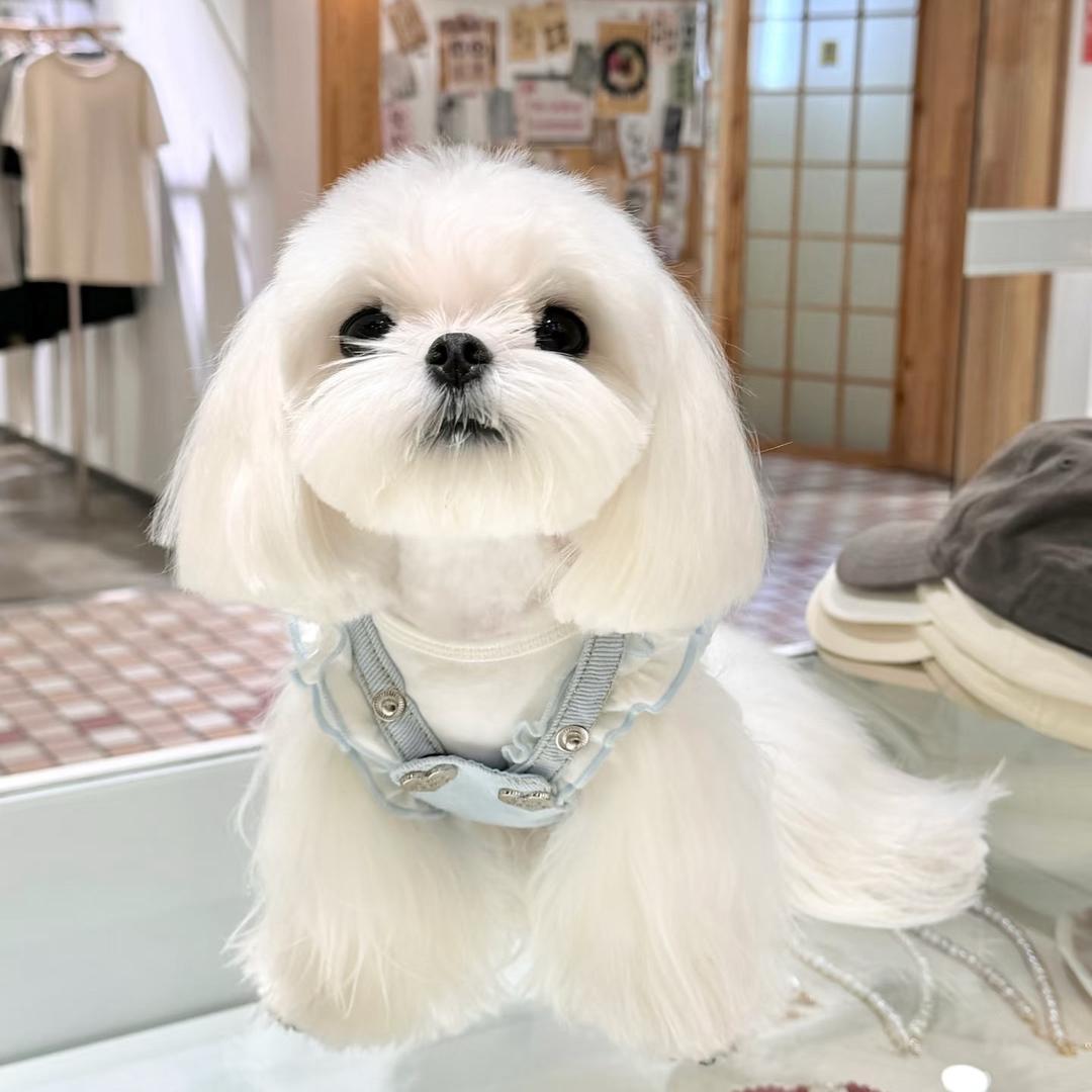 @妮妮