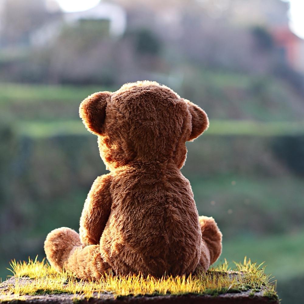 🍊卡皮巴拉🍊