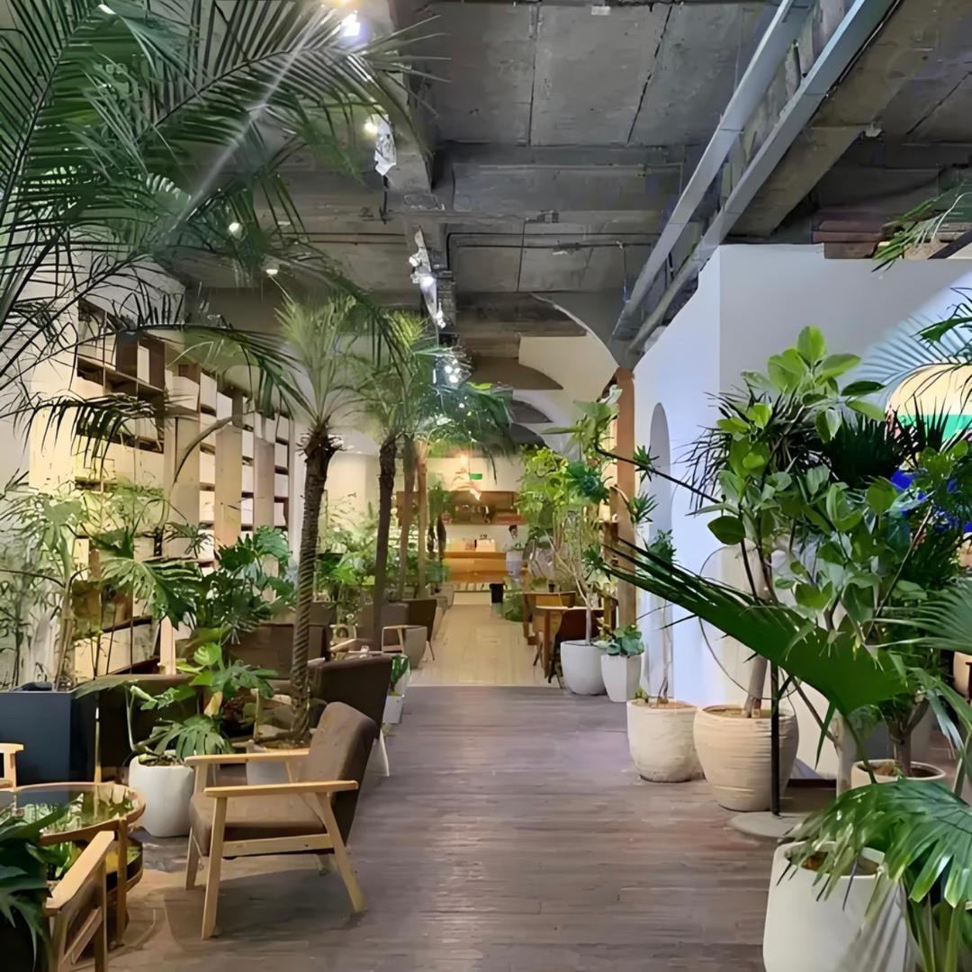 轻氧生活(绿植仓