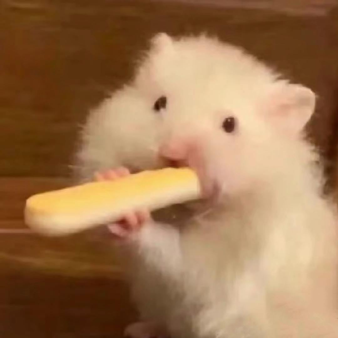 火喜