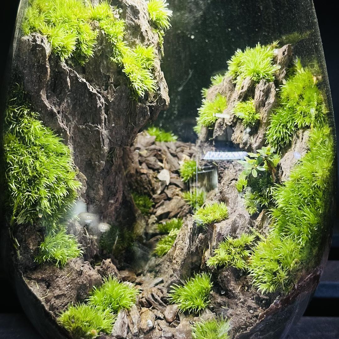 忘川微景设计工作室