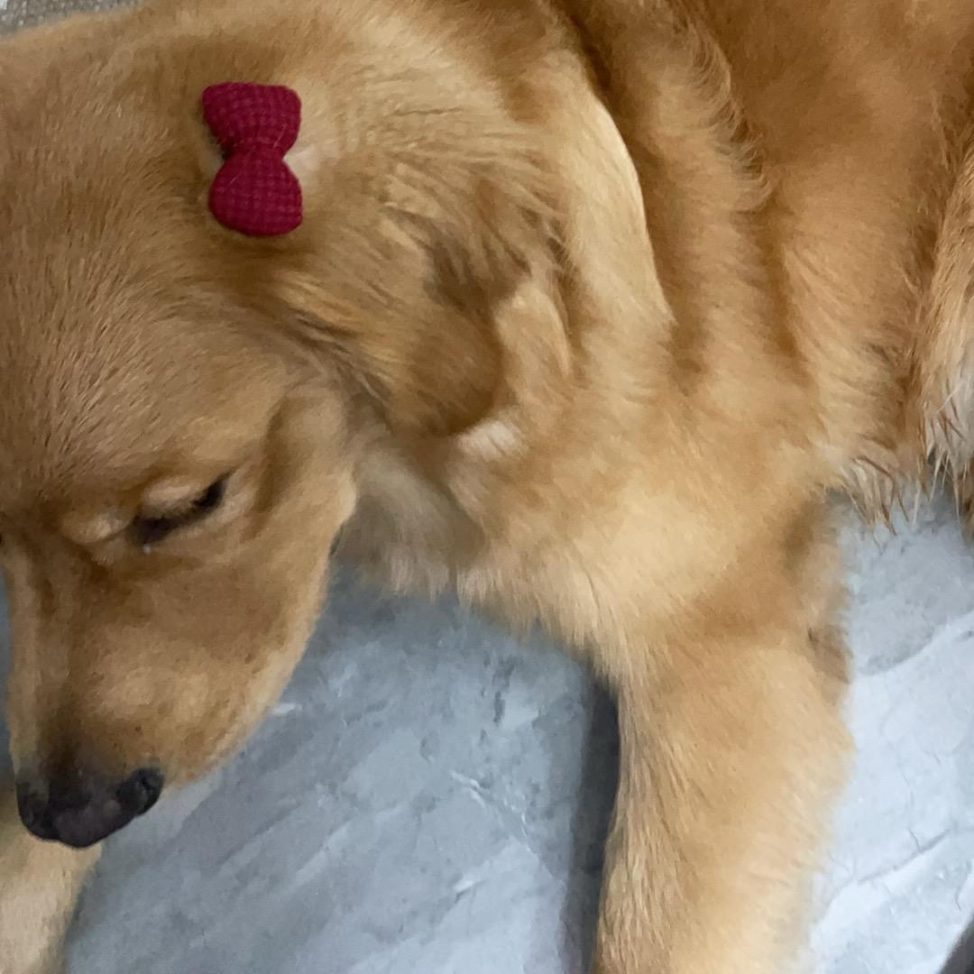 元宝🤗🤗不元