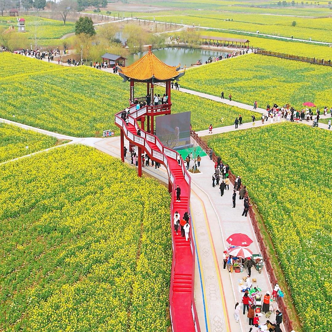 热狗哥 荆楚本地通