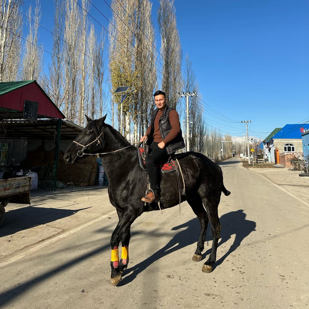 伊力亚尔🐎