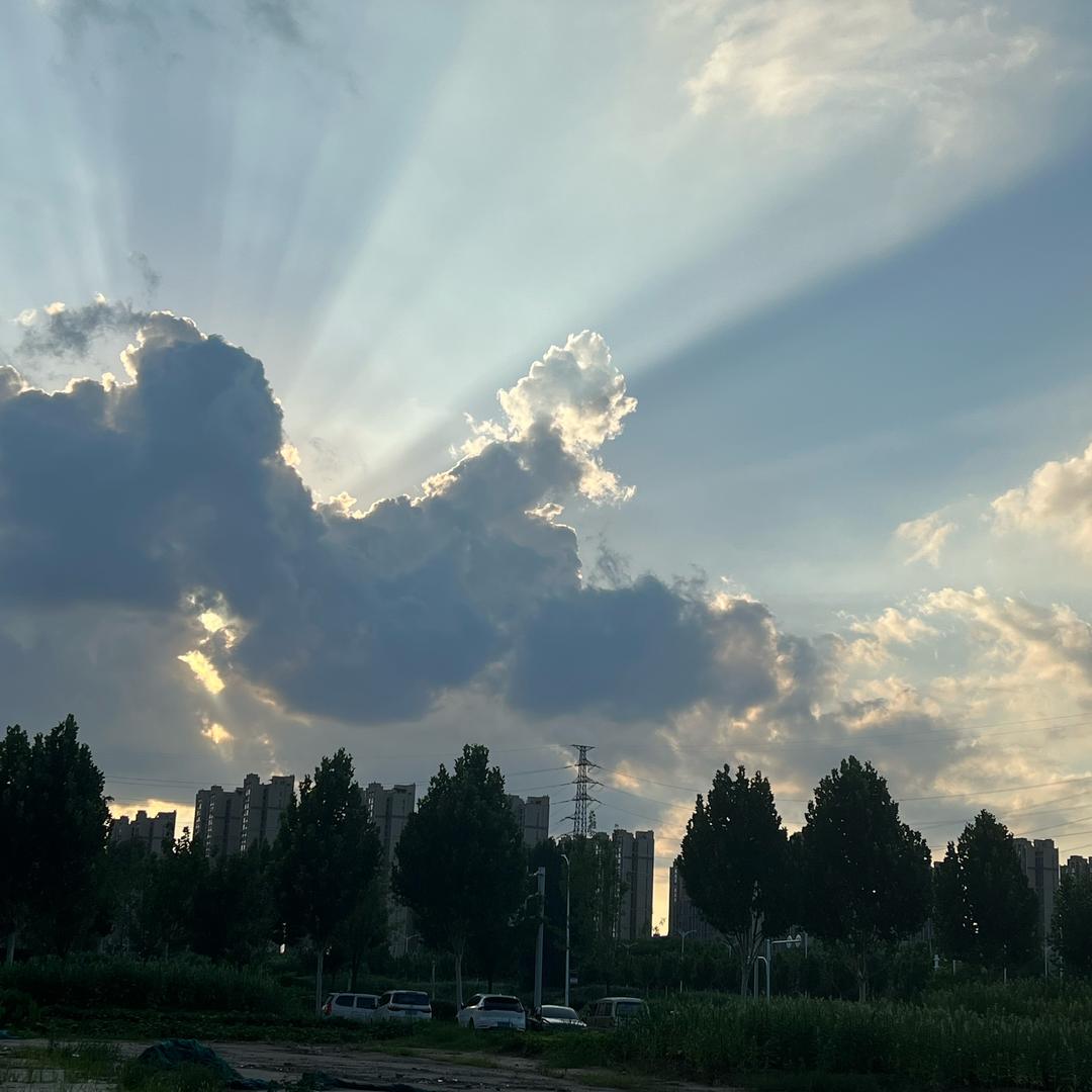 刘草根