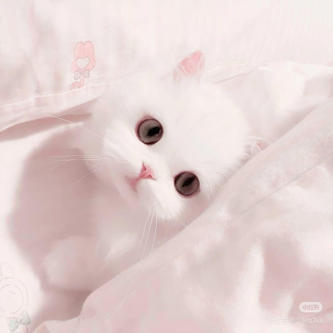uuuu