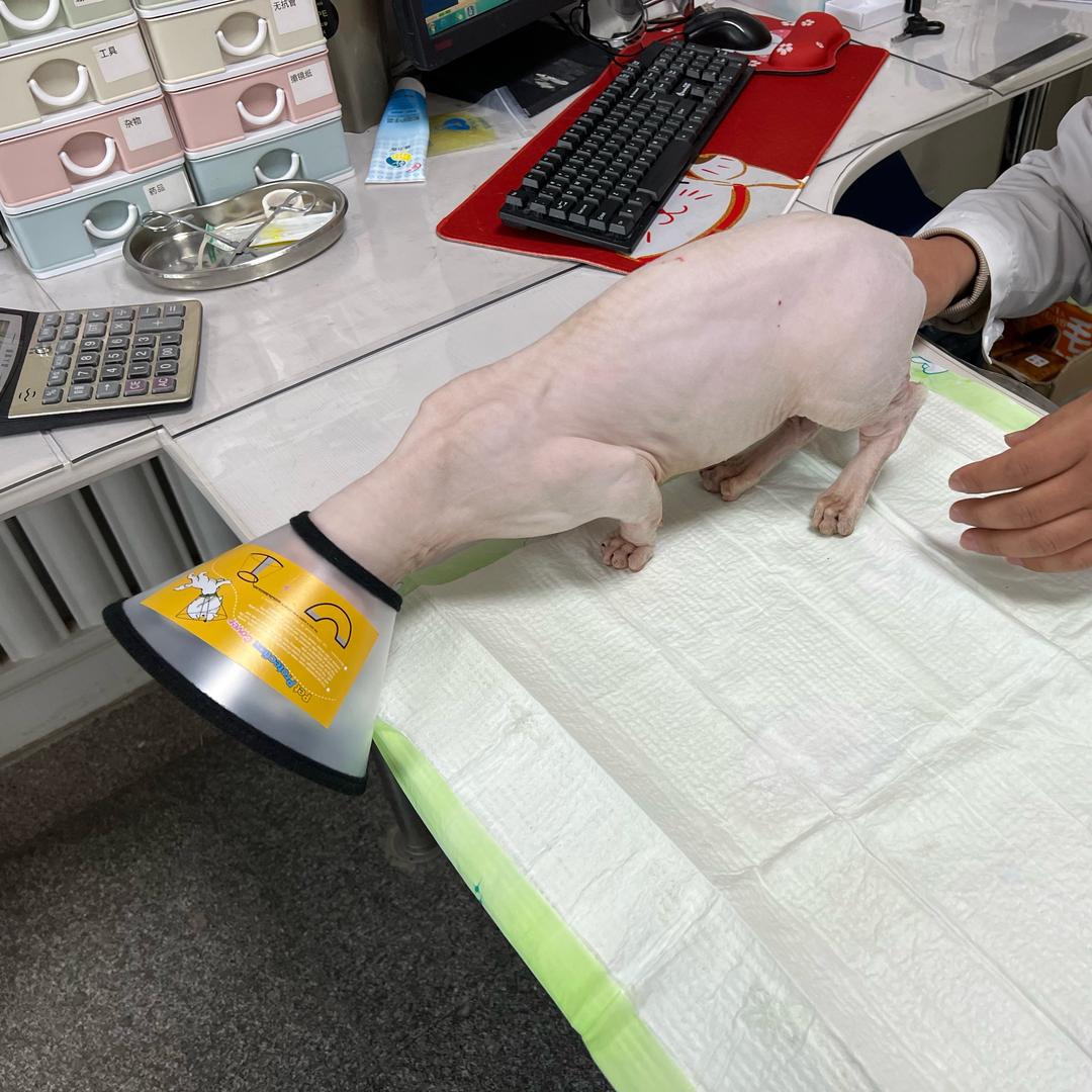 张张张张
