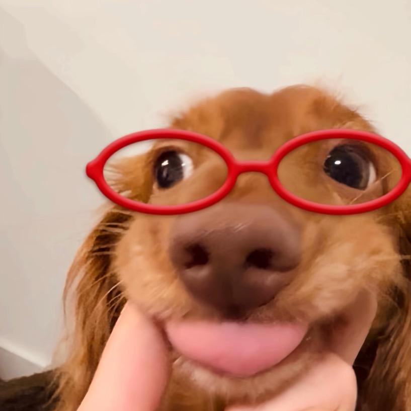 西木椰