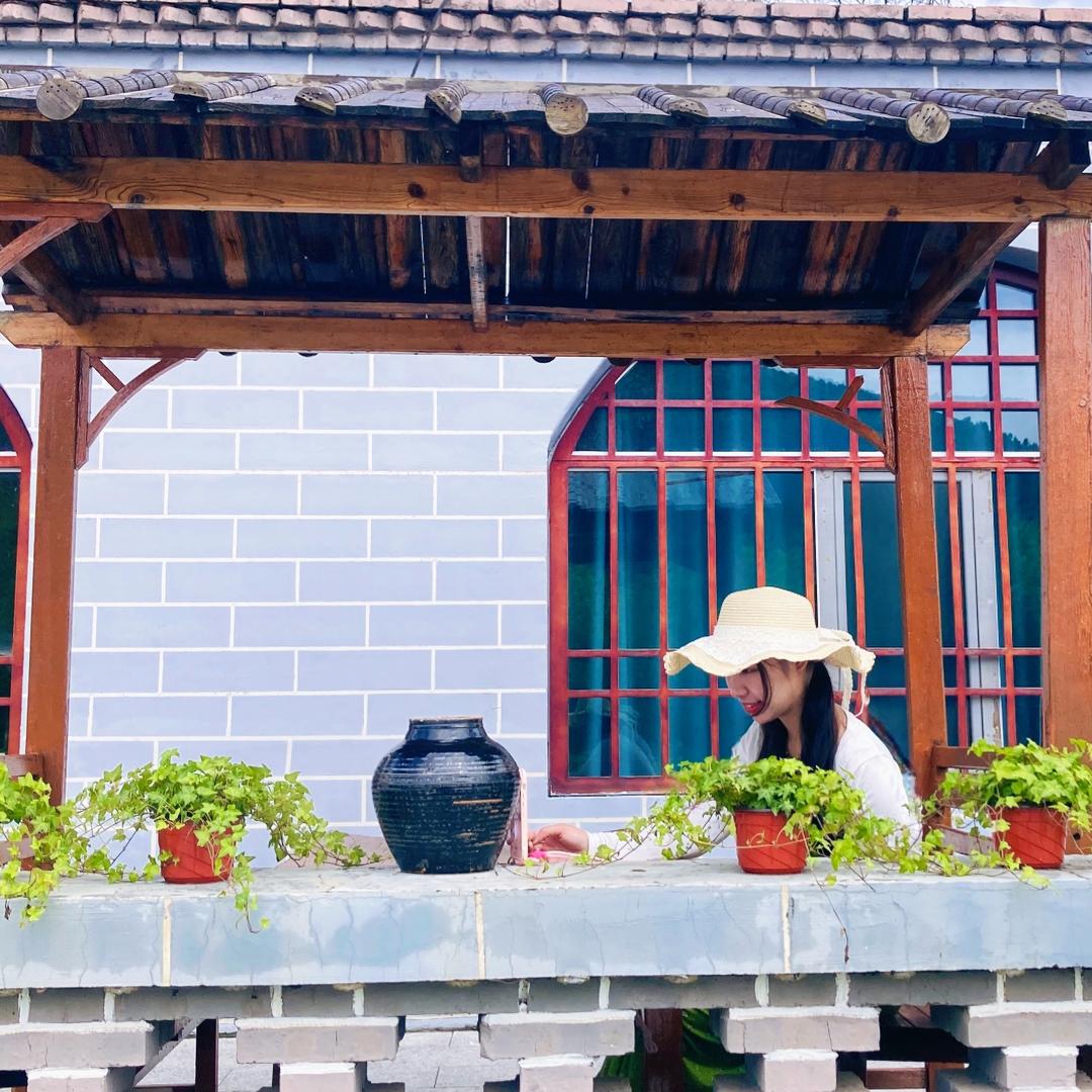 一个李子