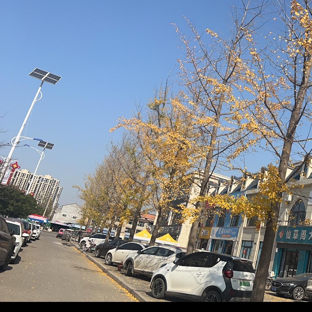 简单幸福
