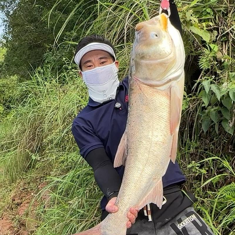 老杨🎣