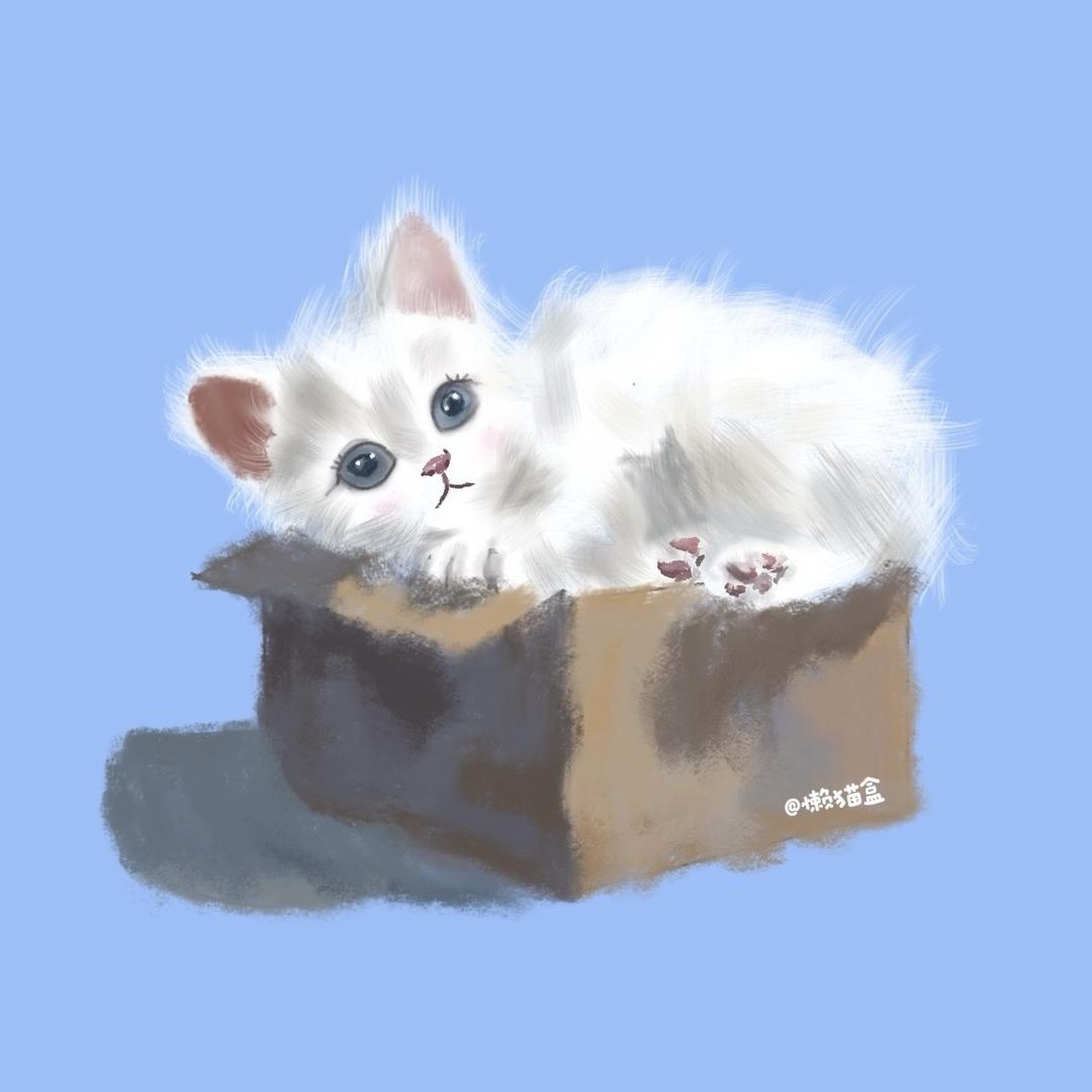 懒猫盒