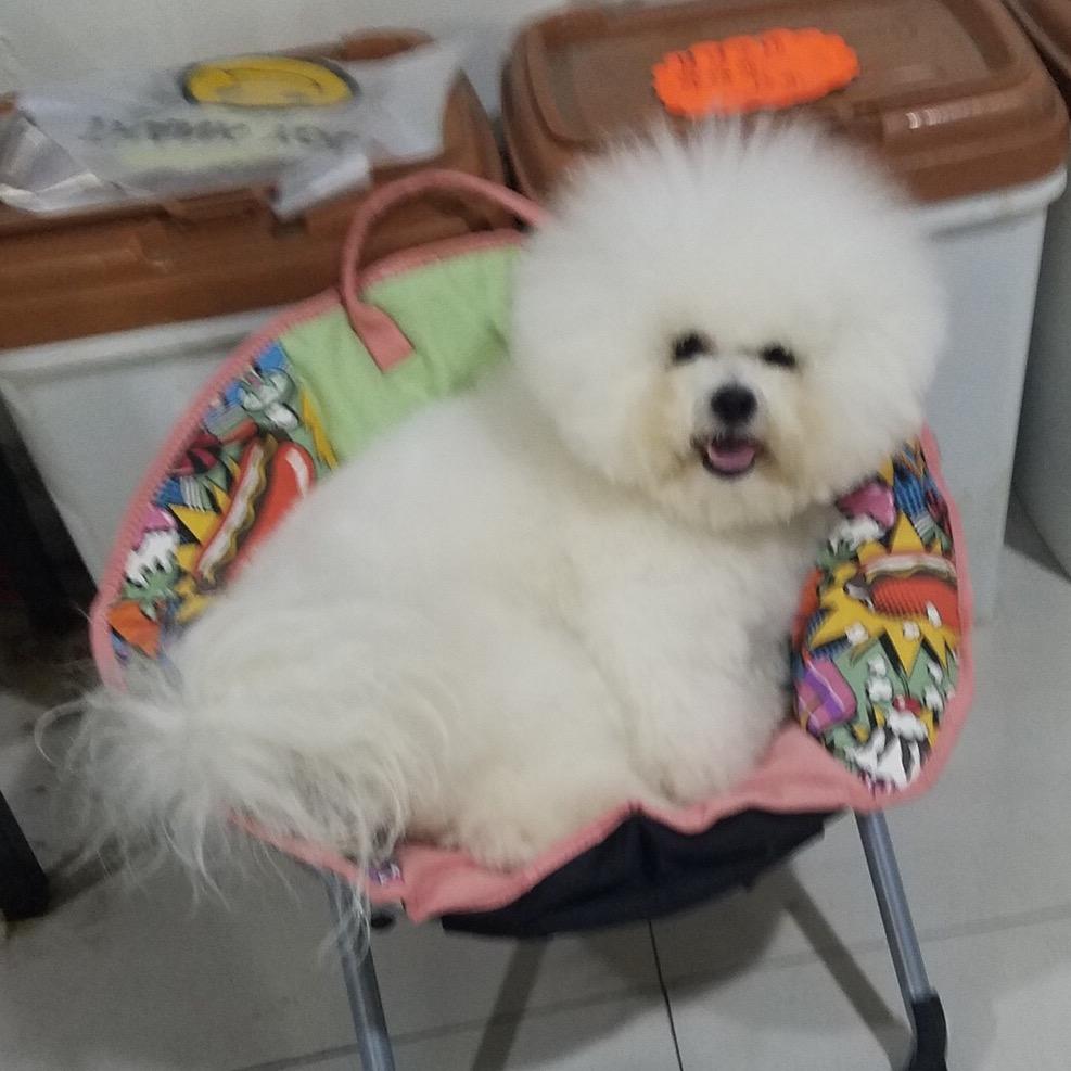 贝拉家的萌宠们