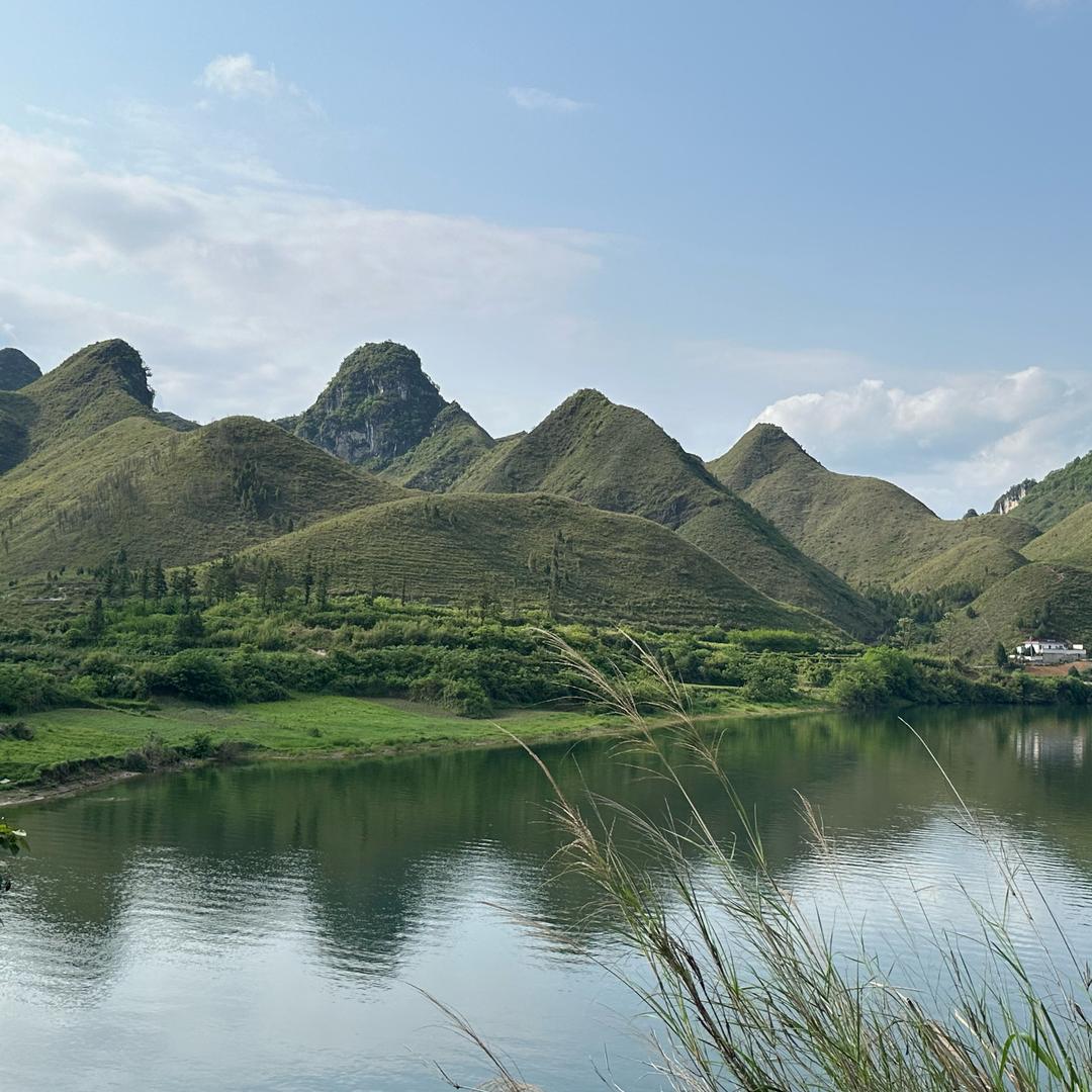 不会钓鱼🐠的钓鱼佬