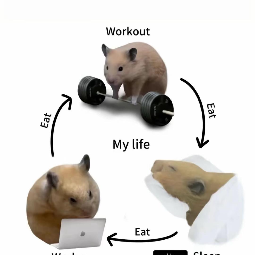 Gangsta Fu