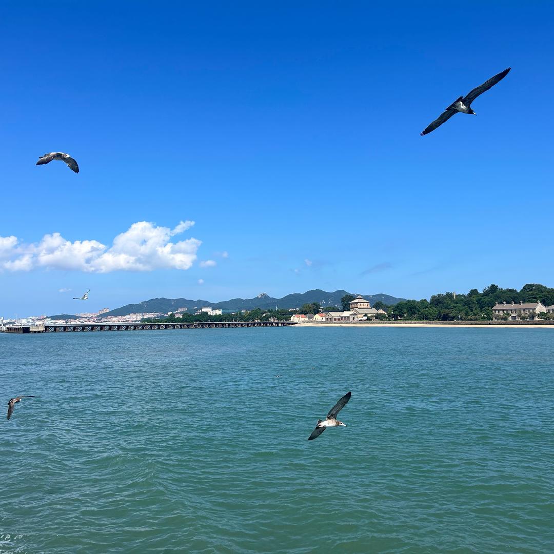 ，你的手机怎么关机