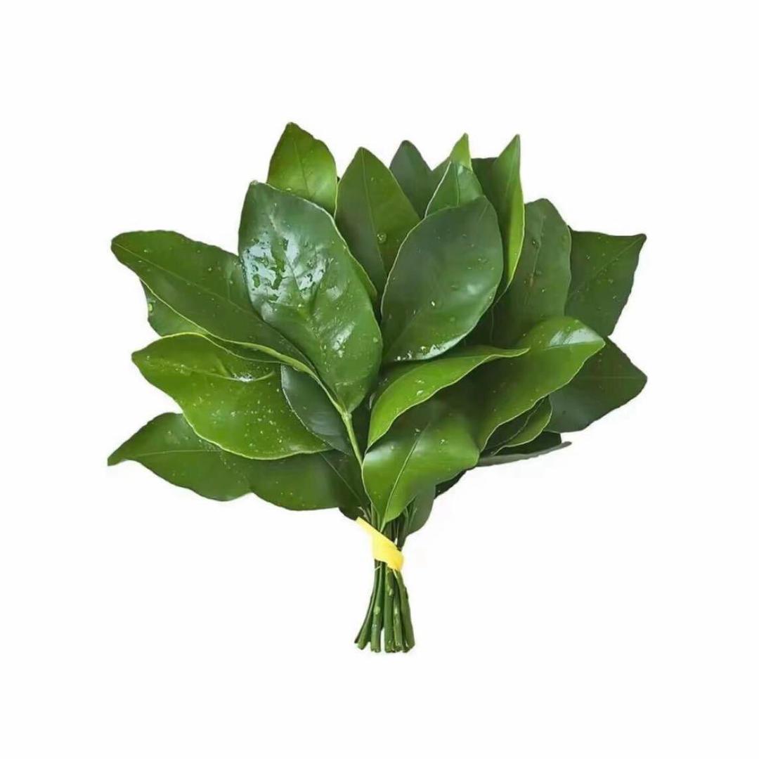 蒸的困噜