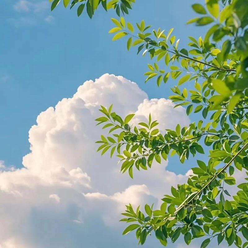 云卷云舒户外游