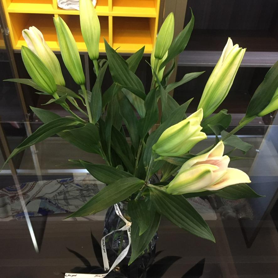 定制衣柜门的洲洲