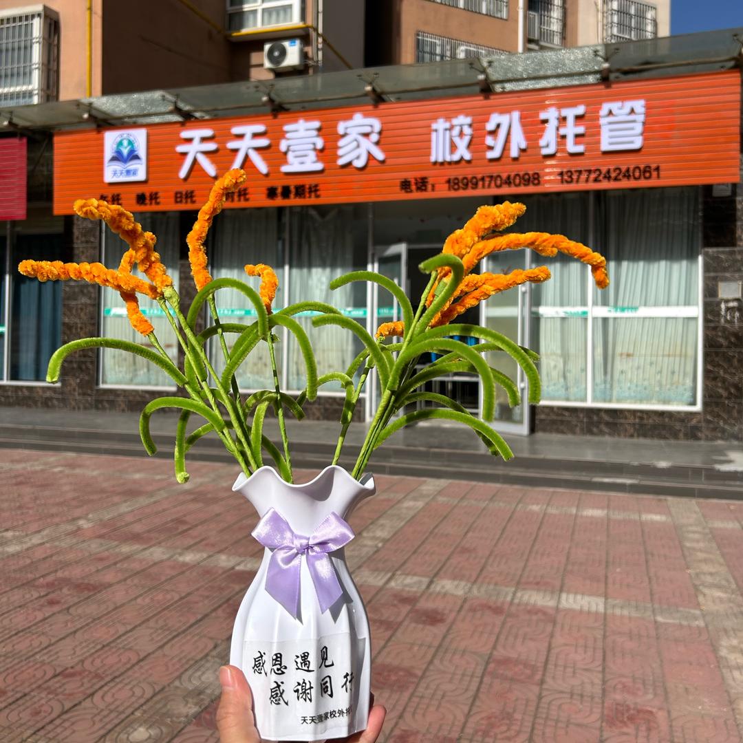 陕九天天壹家托管（1～9年级）