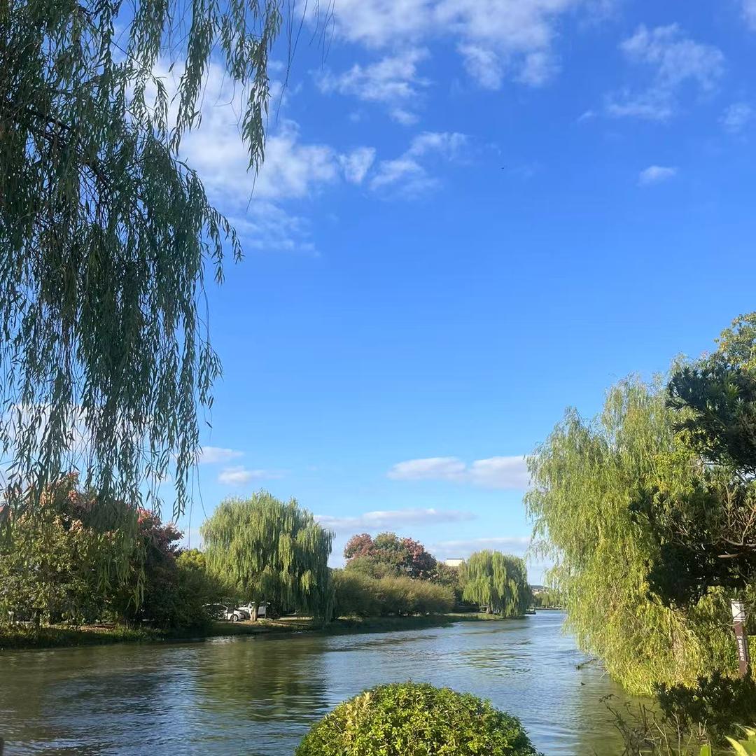 山水物语—草本植物护发