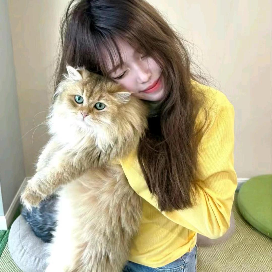 明天见^