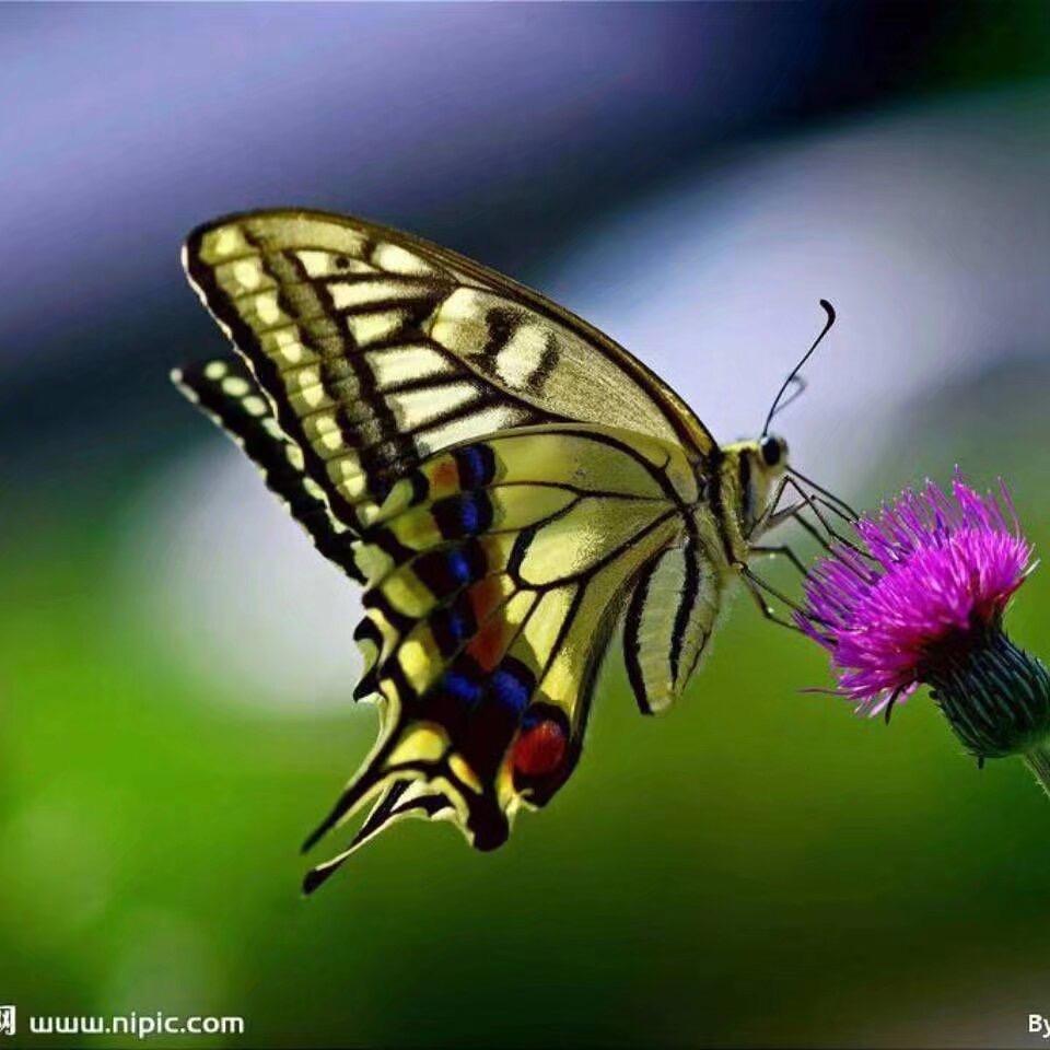 🍣🦑🐟丽姐🐙🦀🦪🥘