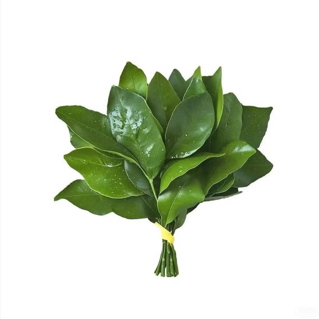 李李