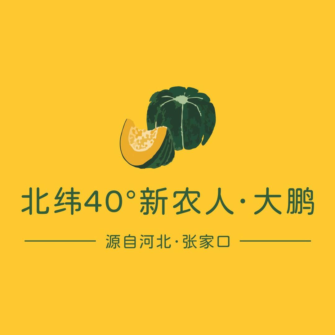 北纬40°新农人