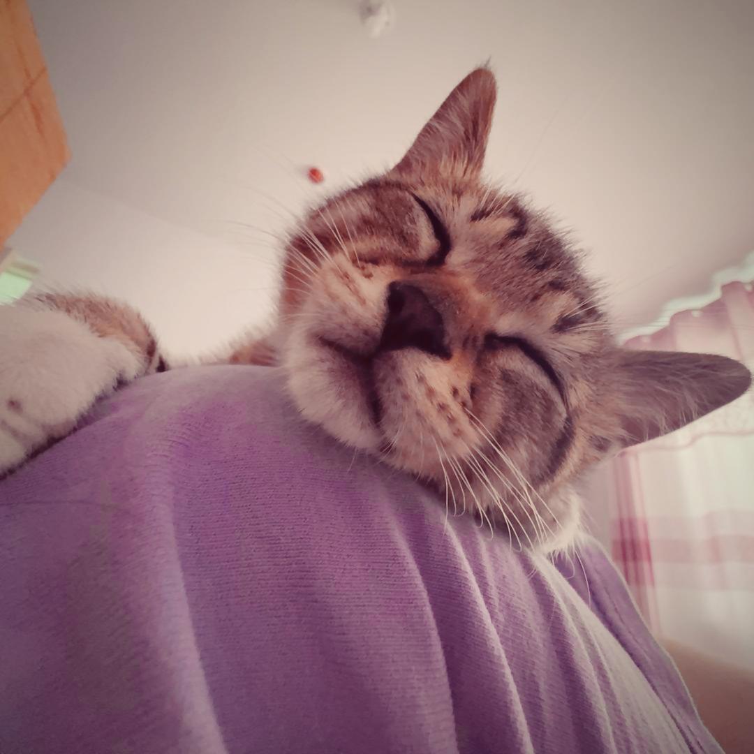 小心石头敲你头！