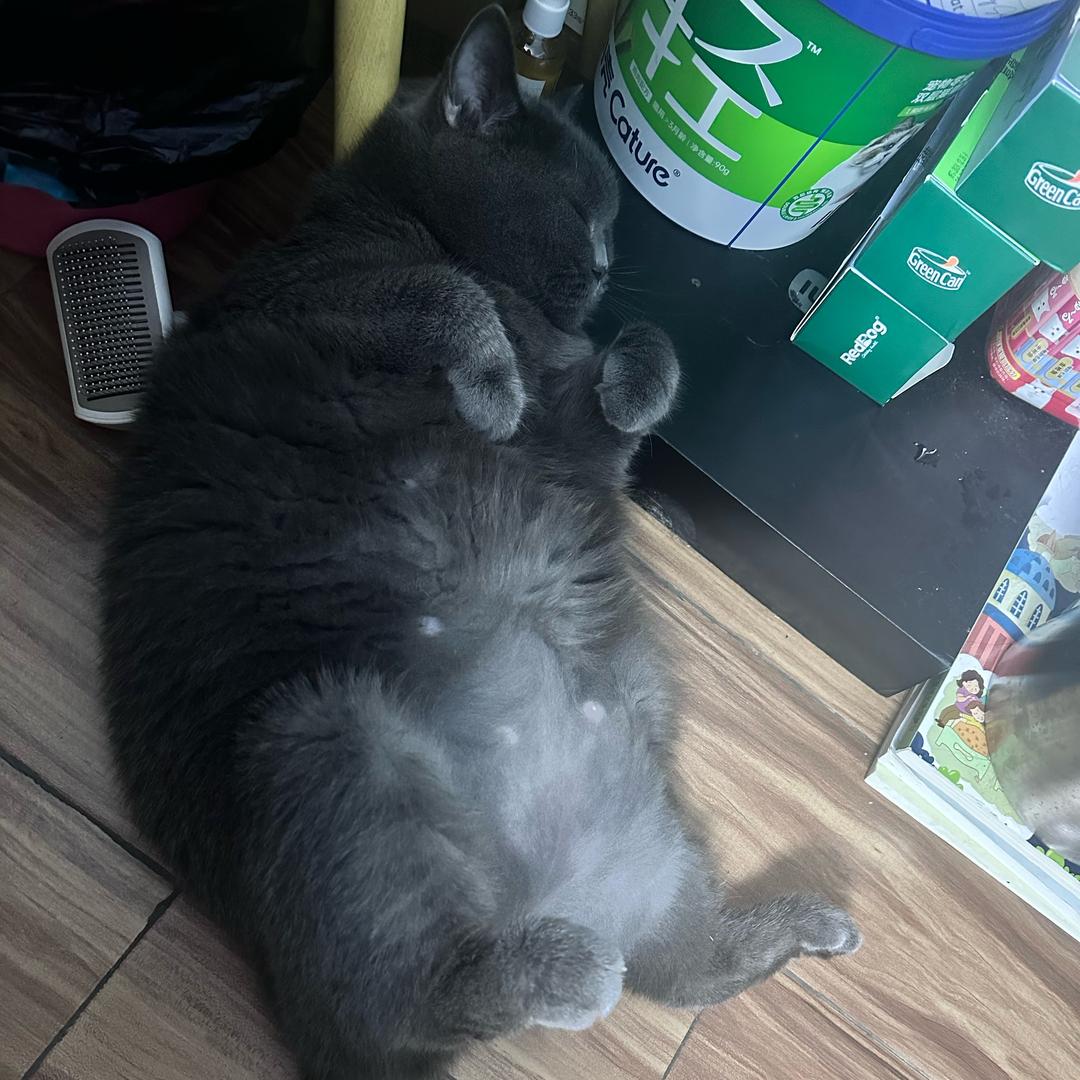 飞飞飞