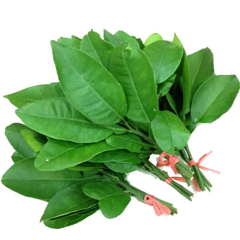 梦想家（倾听师）