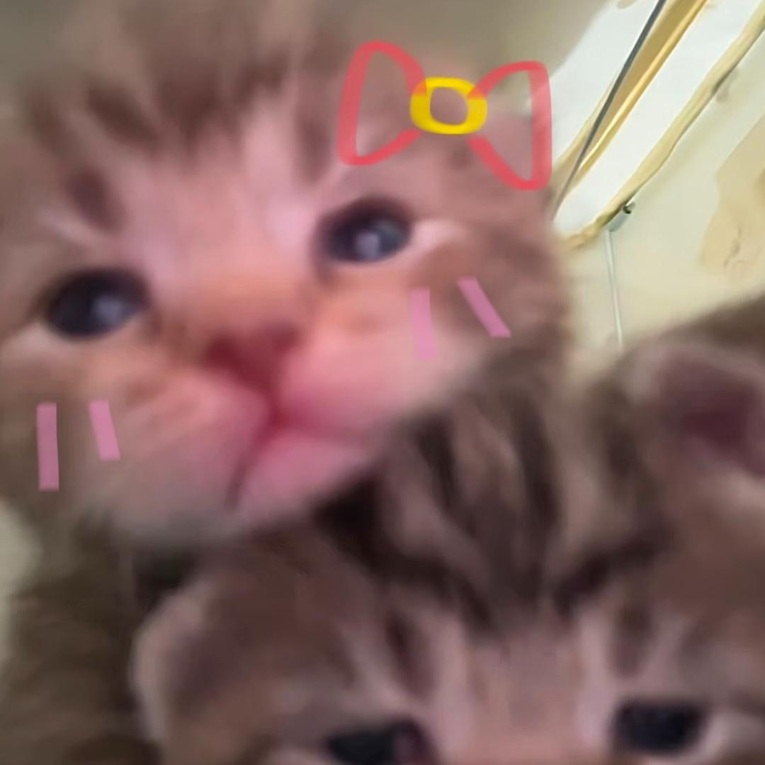 饭子