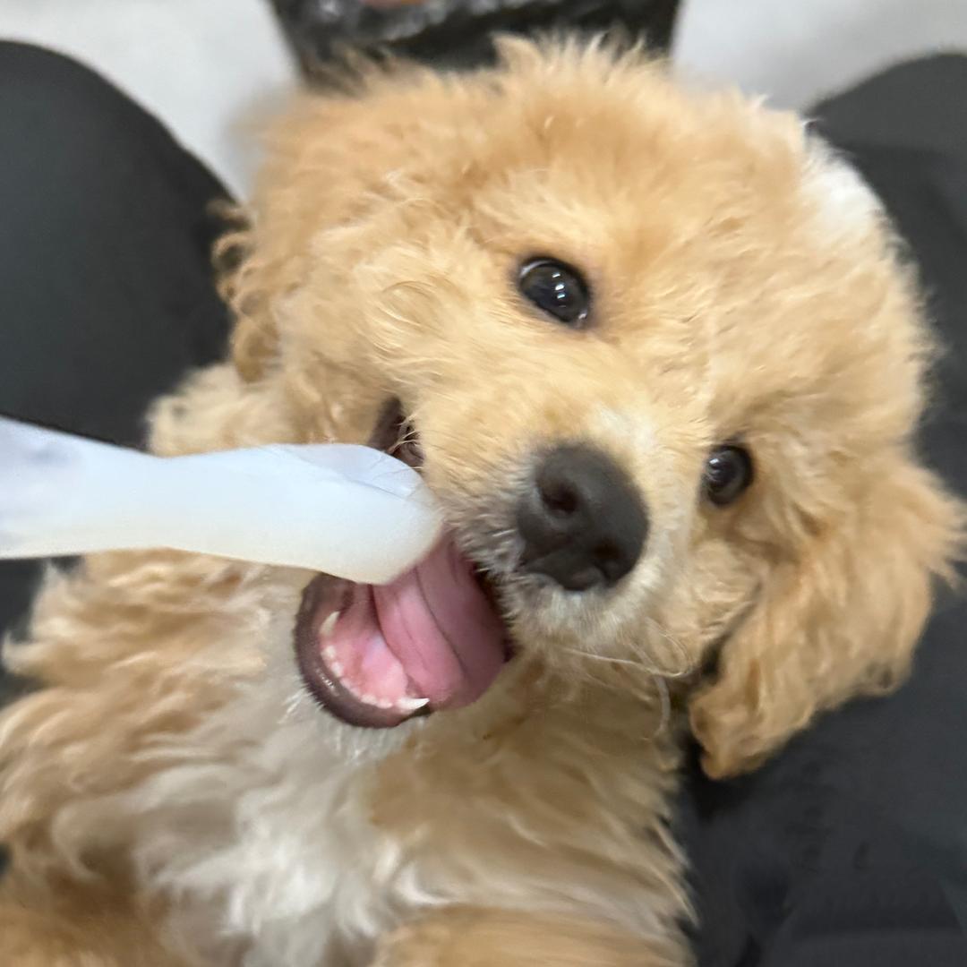 走直线阿