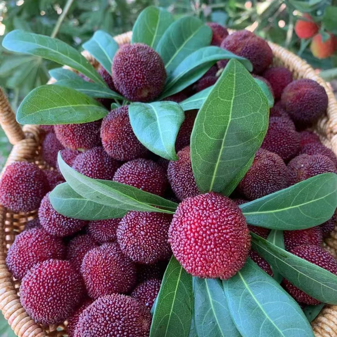 仙居名太果蔬甄选