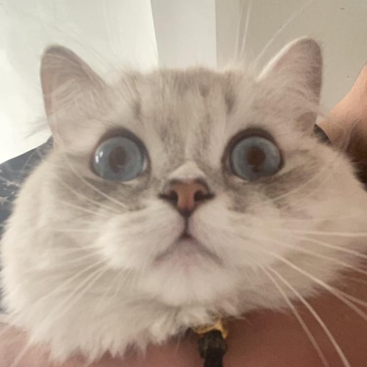 远。